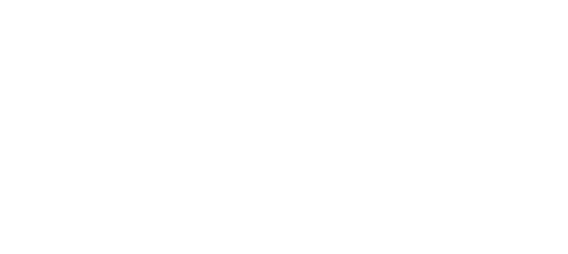 شركة وصف